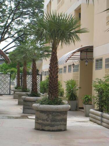 Rafael Mansion Bangkok Airport