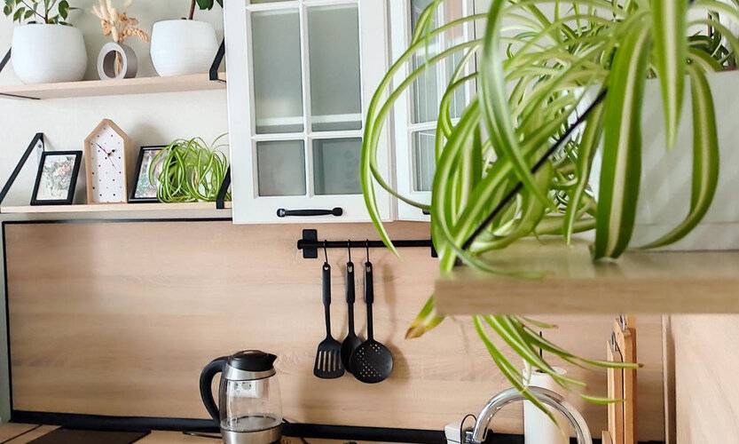 Апартаменты Классный Домик