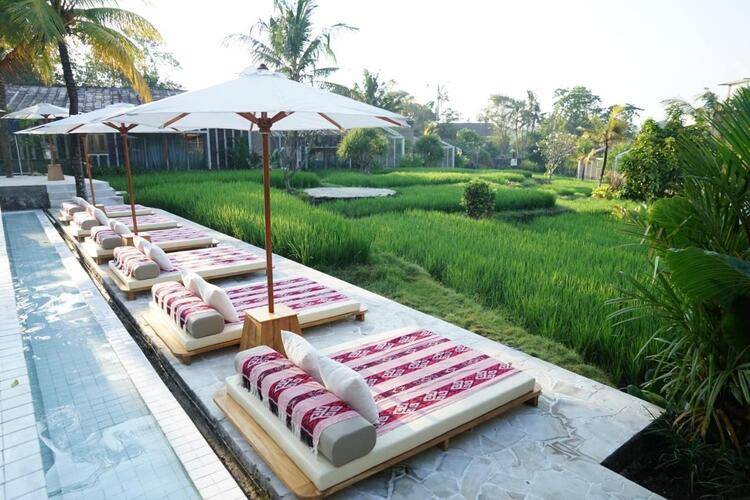 Shore Amora Canggu