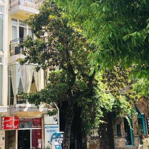 Lux On Gorgiladze