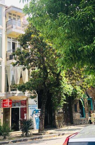 Lux On Gorgiladze