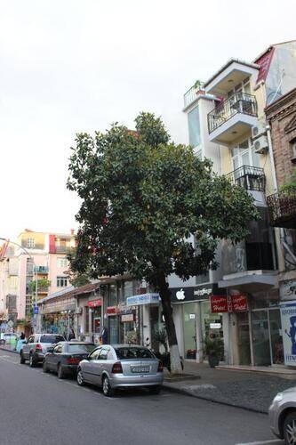 Lux On Gorgiladze