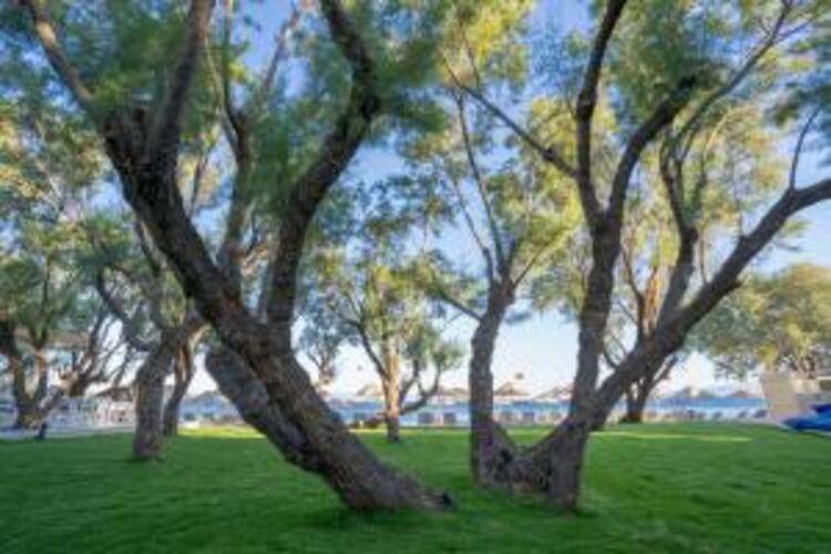 Regia Mare Beach Hotel Bodrum