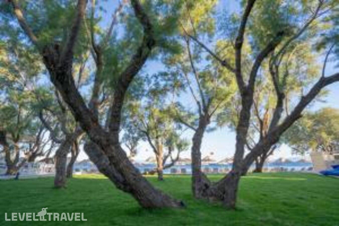 фотографии отеля Regia Mare Beach Hotel Bodrum в Турция(Ортакент) - фото №49