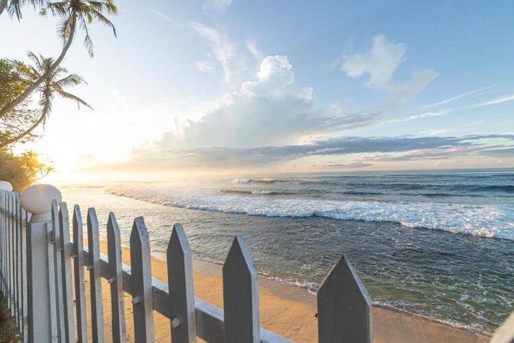 The Beach