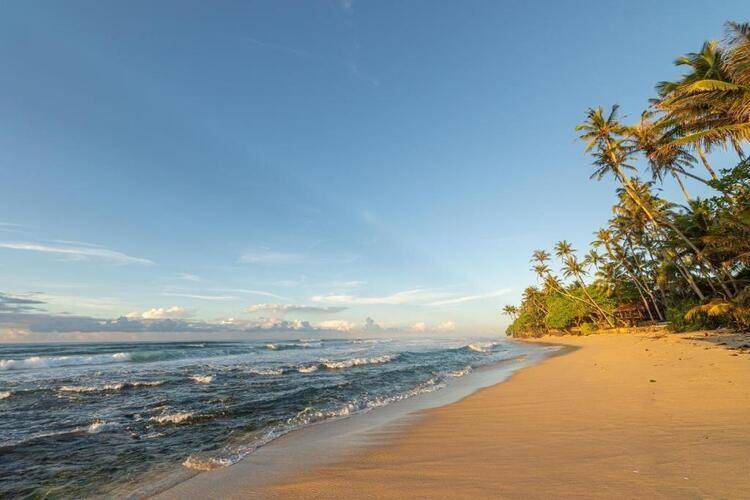 The Beach