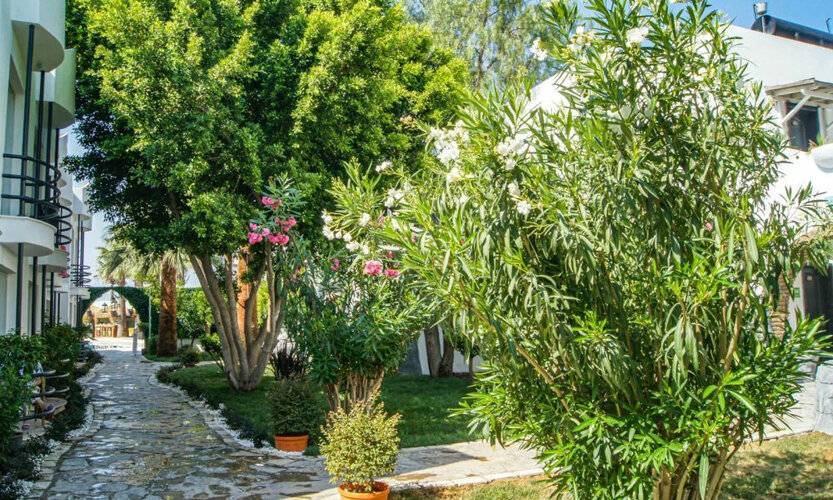 Dream Palace Bodrum
