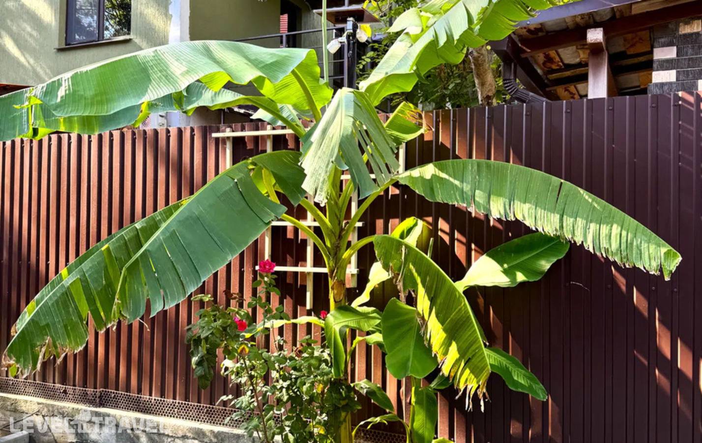 фотографии отеля Альпина Хутор в Россия(Дивноморское) - фото №13