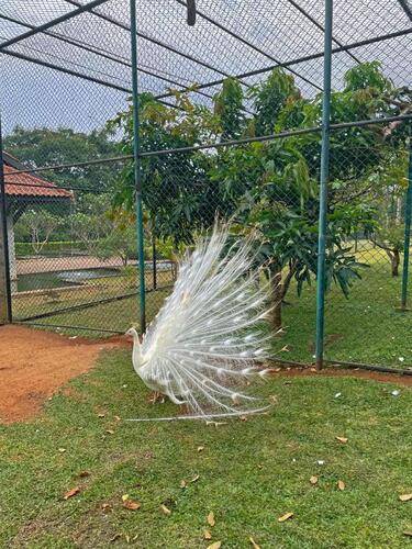 Birds Resort Hambantota