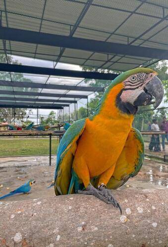 Birds Resort Hambantota