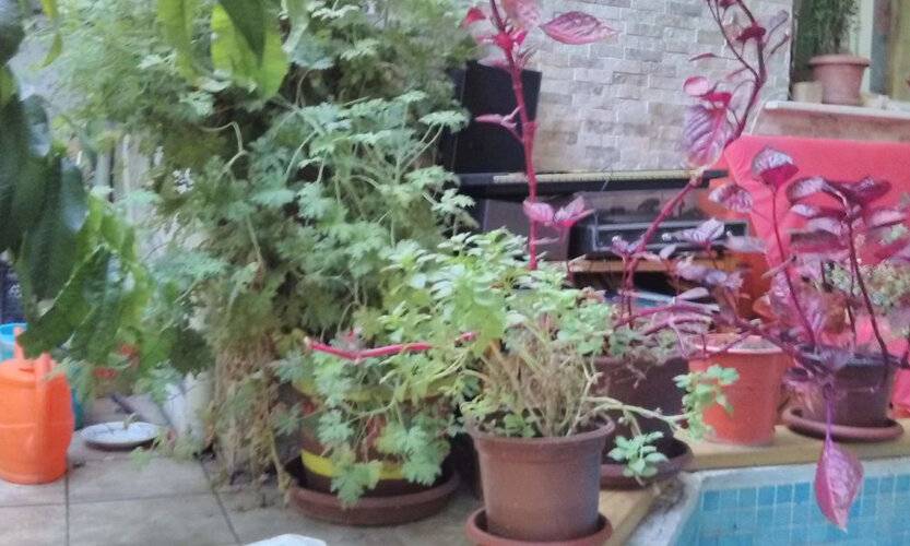Lotus Garden Hostel Izmir