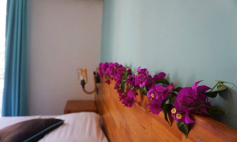 Cobanoglu Hotel
