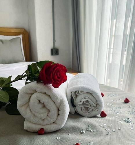 Отель Elegance House Istanbul