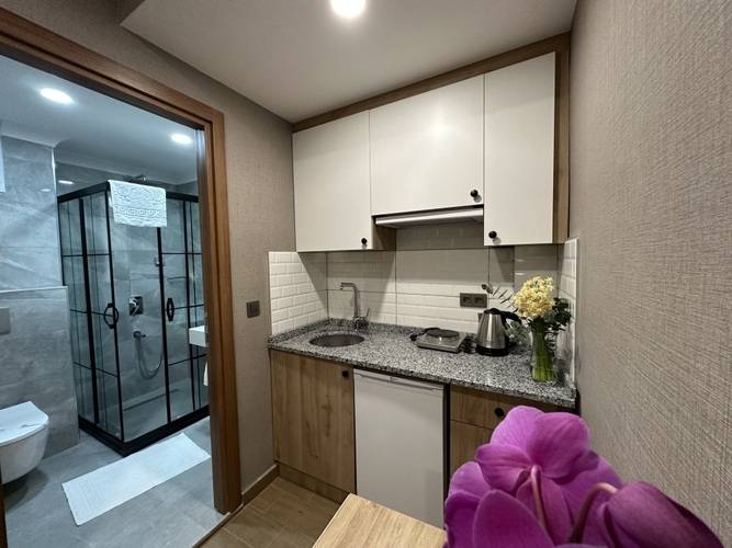 Апартаменты H&L Suites