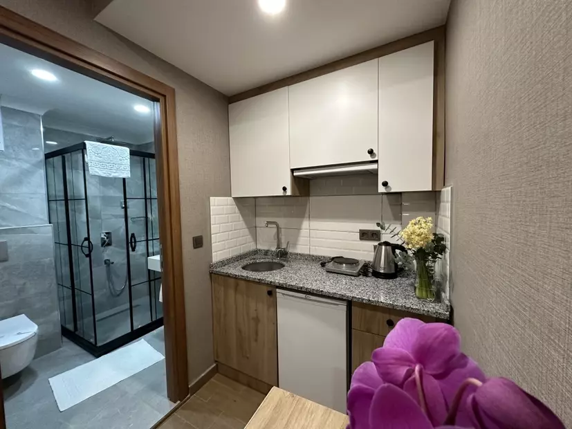 Апартаменты H&L Suites