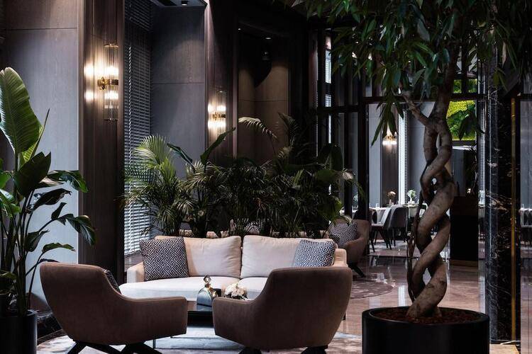 The Maestro Hotel
