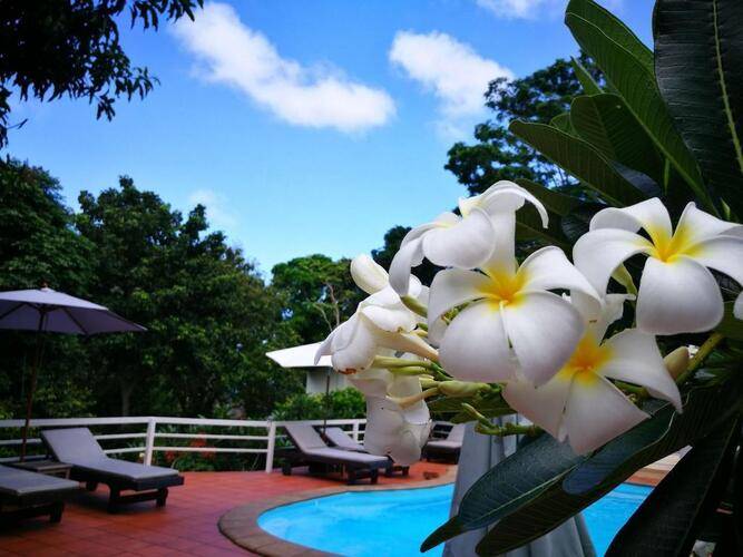 On The Hill Karon Resort