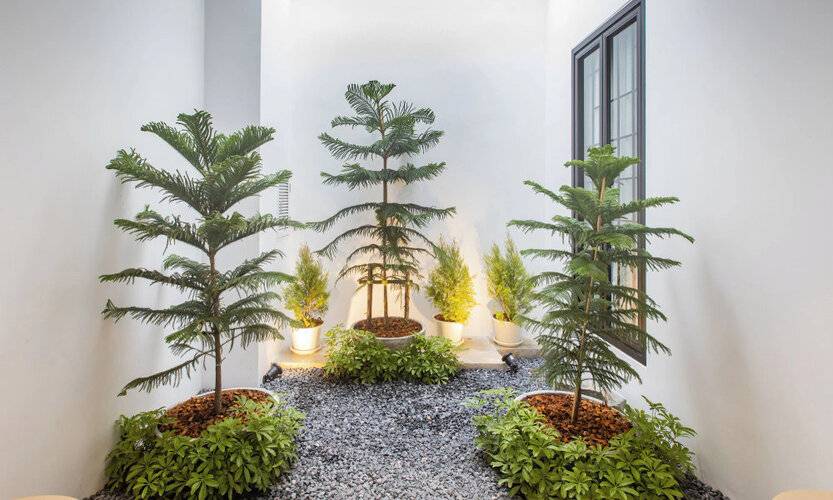 The Elements Boutique House