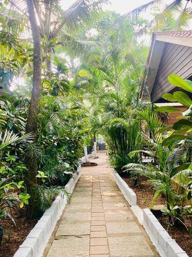 Nasyas Beachside Cottage