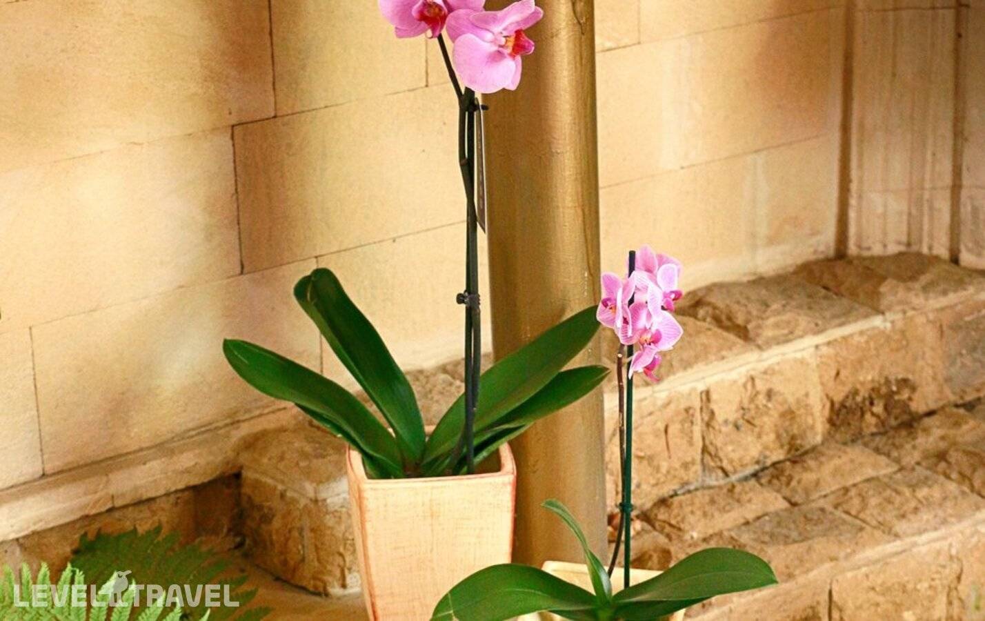 фотографии отеля Гостевой Дом Марианна в Россия(Вардане) - фото №9