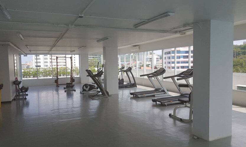 Art On The Hill