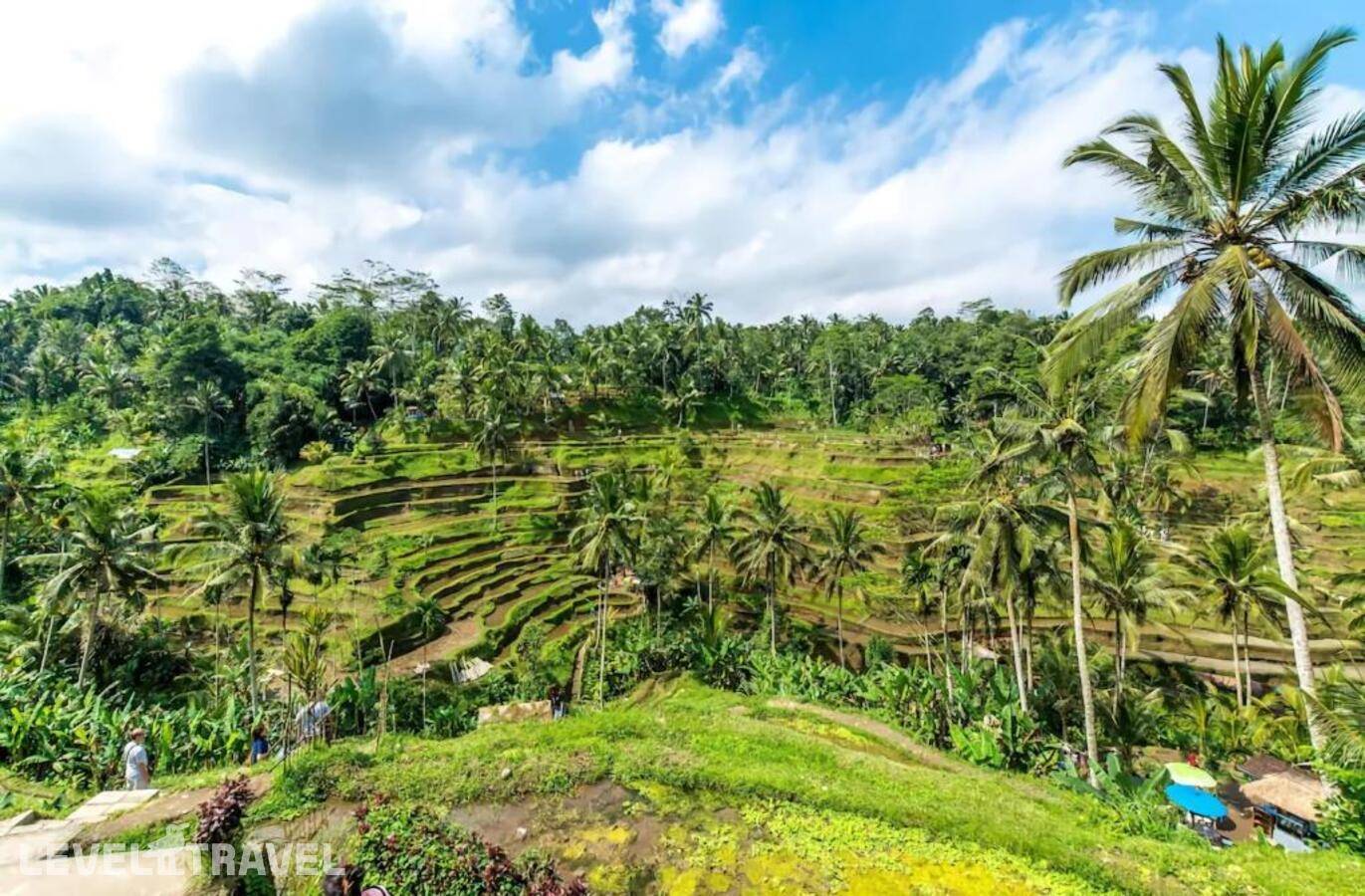 фотографии отеля The Kanjeng Resort Ubud Puri в Индонезия(Убуд) - фото №39
