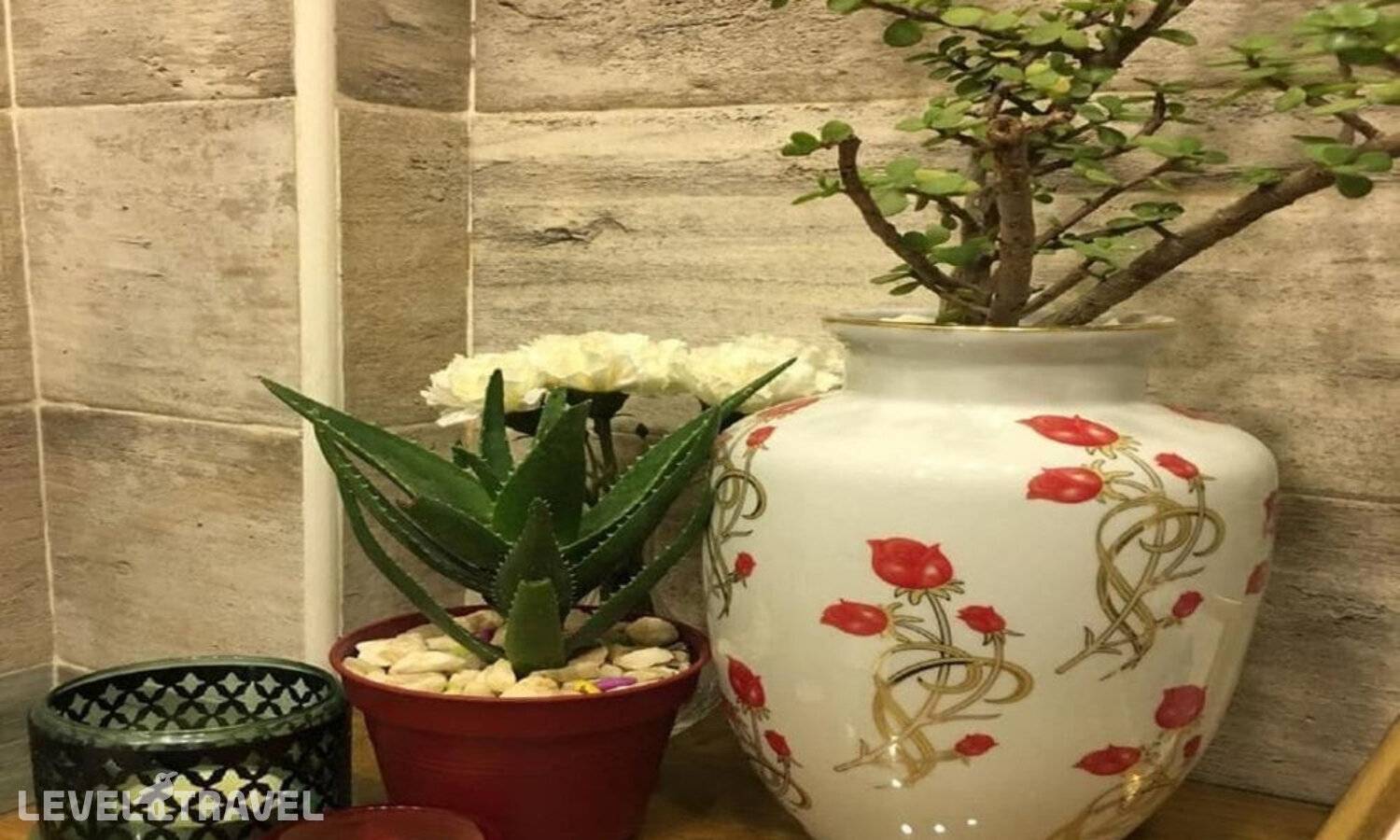 фотографии отеля Paris Hostel в Египет(Каир) - фото №41