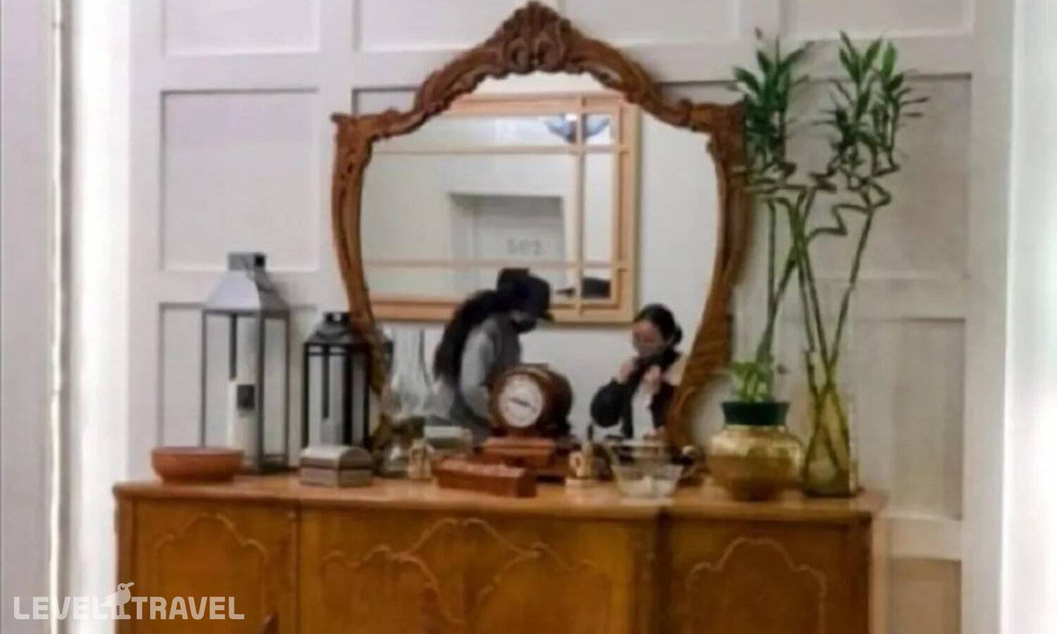 фотографии отеля Paris Hostel в Египет(Каир) - фото №23