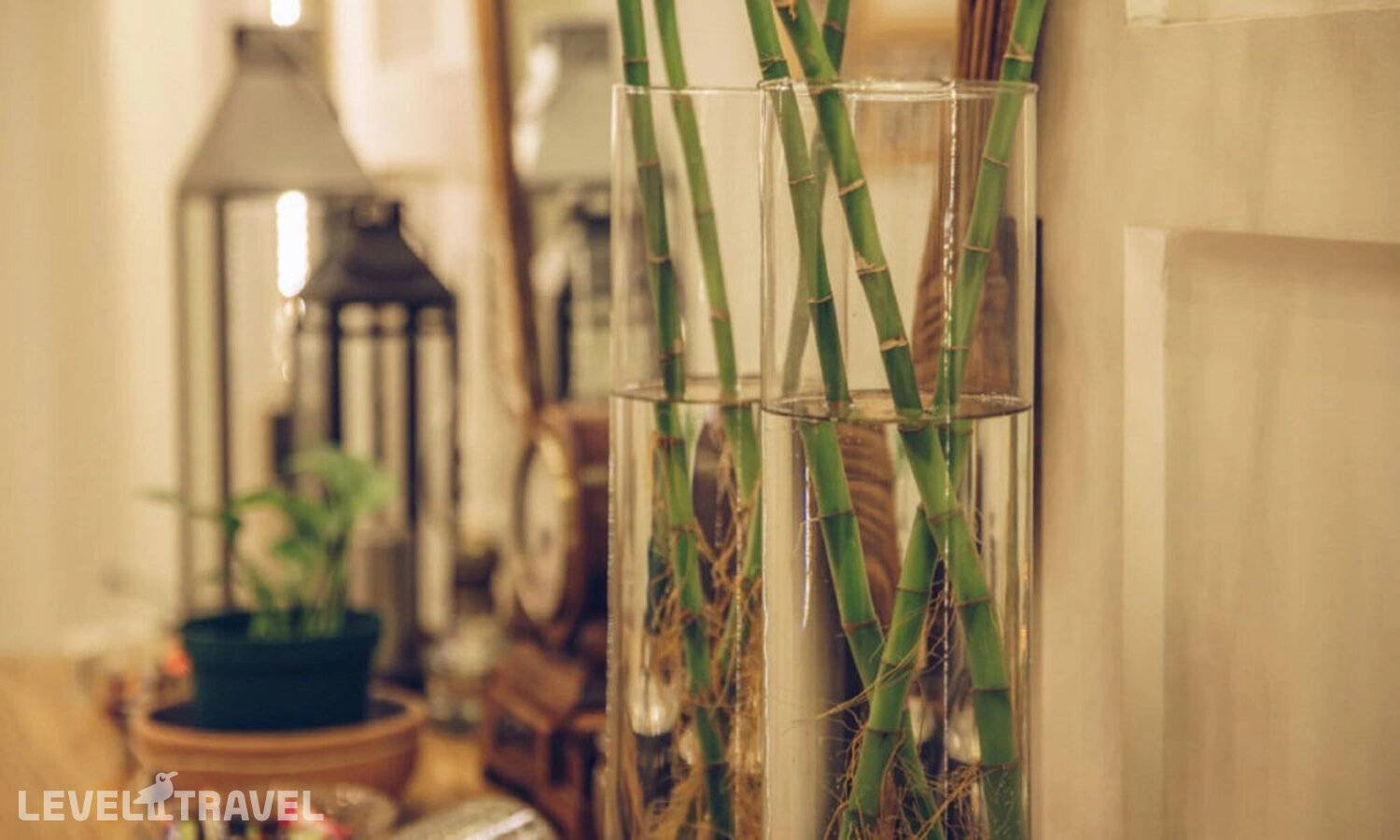 фотографии отеля Paris Hostel в Египет(Каир) - фото №24