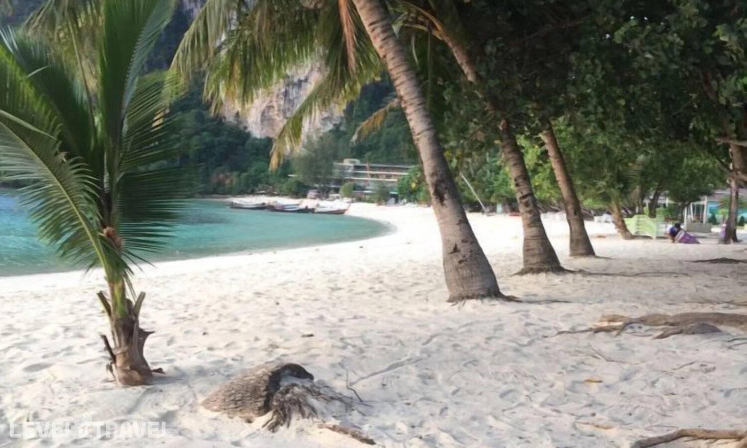 фотографии отеля Phi Phi Dream Guest House в Таиланд(о. Пхи-Пхи) - фото №30