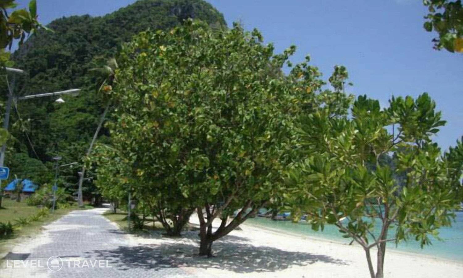 фотографии отеля Phi Phi Sand Sea View Resort в Таиланд(о. Пхи-Пхи) - фото №31