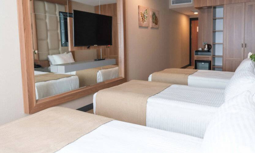 Taksim Lion Hotel&Spa