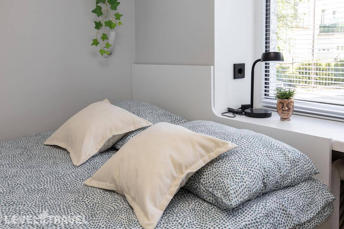 фотографии отеля Монетный в Россия(Калининград) - фото №4