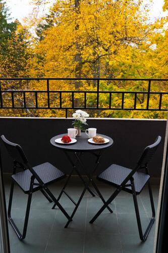 Apartments Malina (Апартментс Малина) На Улице Ленина 36