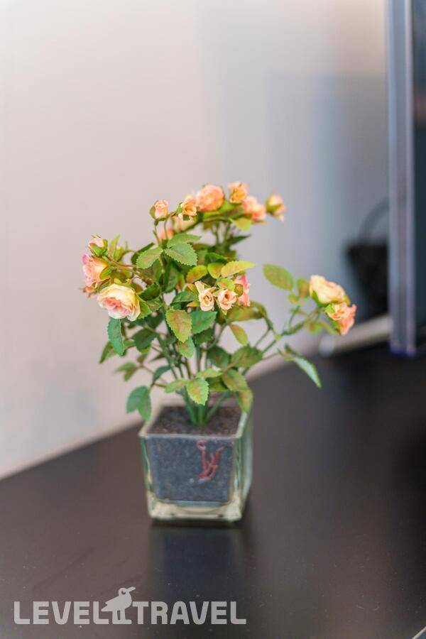 фотографии отеля Apart Mari (Апарт Мари) На Улице Леонова в Россия(Калининград) - фото №24