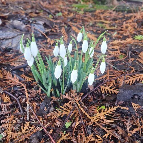 Апартаменты На Улице Марины Расковой