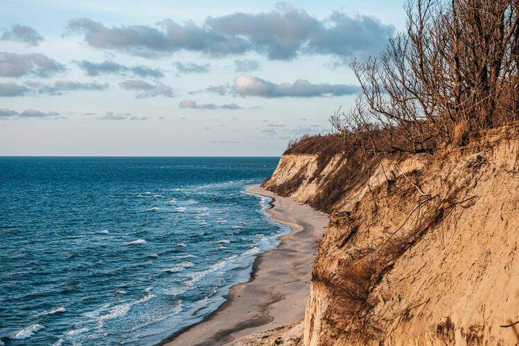 Посутки В Калининграде На Улице Ленина 36