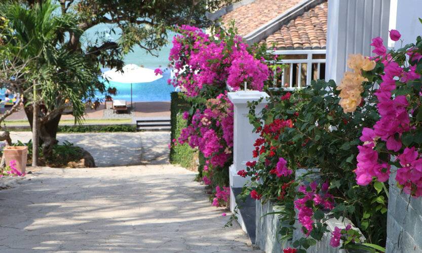 Sv Boutique Resort