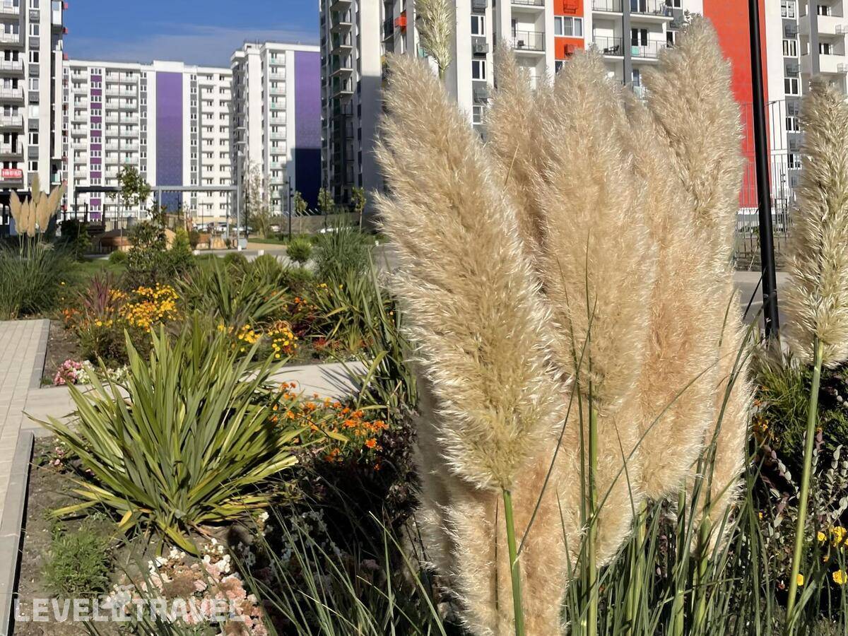 фотографии отеля Морент В Жк Фрукты в Россия(Сириус) - фото №9