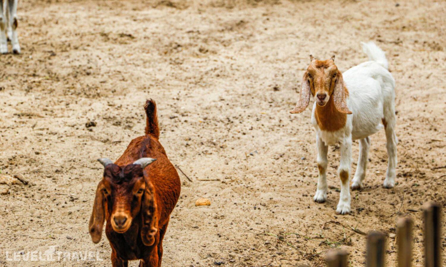 фотографии отеля Melia Ho Tram Beach Resort в Вьетнам(Камау) - фото №76