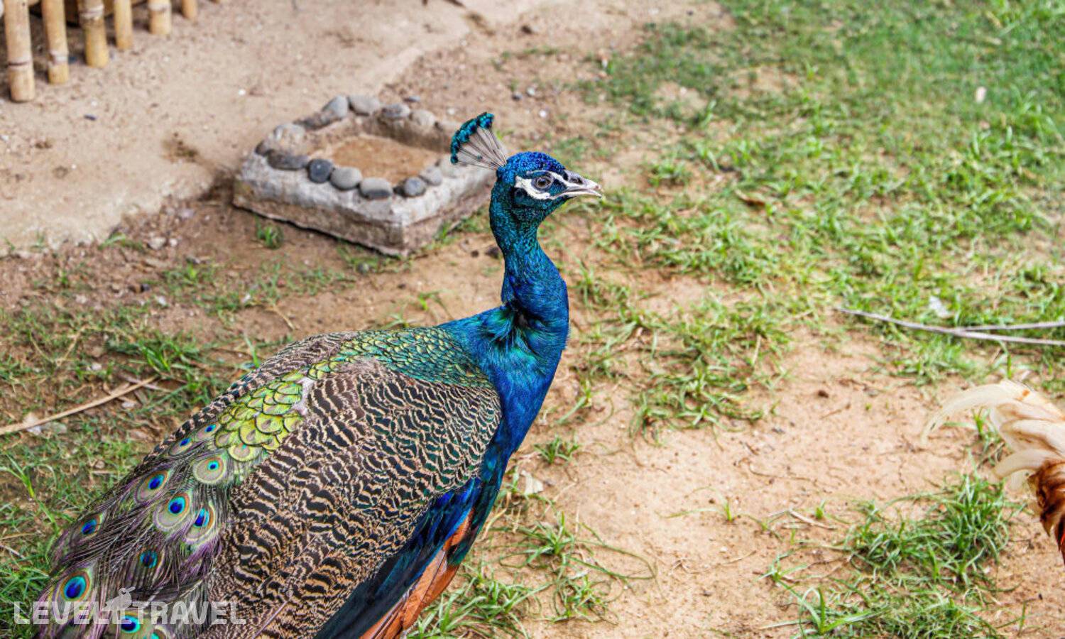 фотографии отеля Melia Ho Tram Beach Resort в Вьетнам(Камау) - фото №95