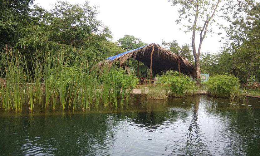 Dudhsagar Plantation