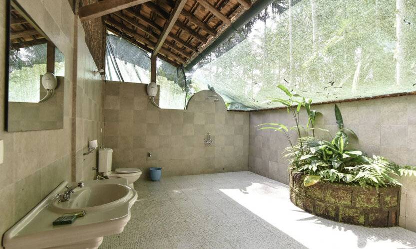 Dudhsagar Plantation