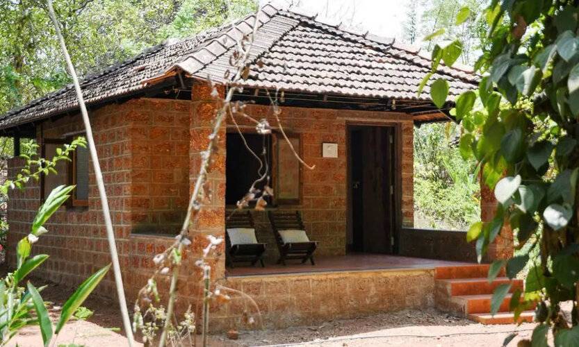 Dudhsagar Plantation