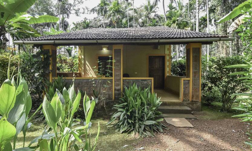 Dudhsagar Plantation