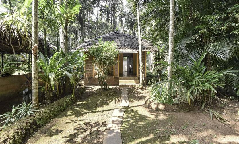 Dudhsagar Plantation