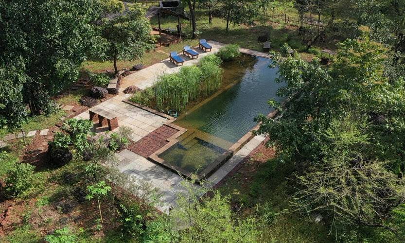 Dudhsagar Plantation