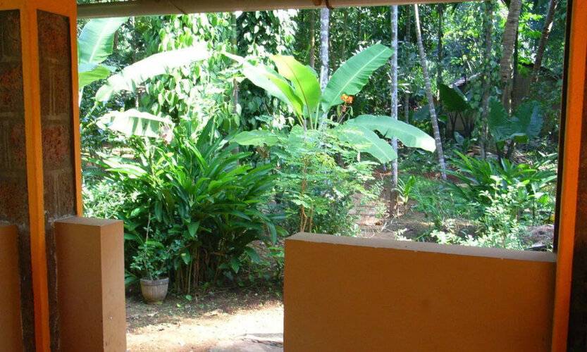 Dudhsagar Plantation