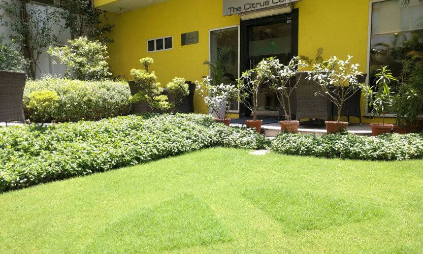 Lemon Tree Hotel, Udyog Vihar, Gurugram
