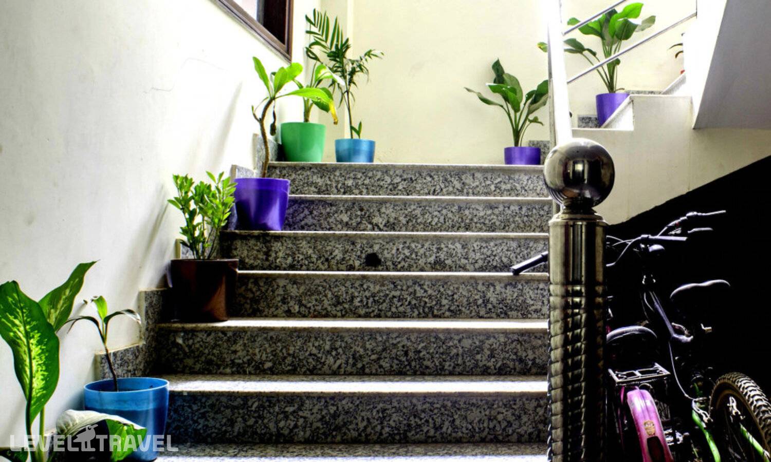 фотографии отеля Amigosindia в Индия(Нью-Дели) - фото №21